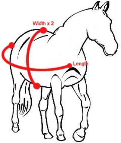 Royal Hamilton WB-600D-NV-M Turnout Horse Blanket Navy Blue with Black Trim, 78-Inch, Medium