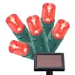 Philips 50-Bulb Solar Mini Lights - Red