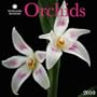 Orchids - 2010 Smithsonian Institution Calendar