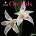 Orchids - 2010 Smithsonian Institution Calendar