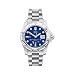 Victorinox Swiss Army Professional Dive Master 500M Mens Watch V.241173