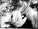 Horsemanship - Care of Animals in the Field