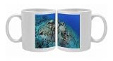 Photo Mugs of Etruscan Amphora in a protected archaeological area on the sea bed in Antalya from Ardea Wildlife Pets