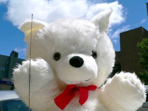 41lSXNa6txL GIANT 54 SOFT STUFFED TEDDY BEAR WITH LUXORIOUS WHITE FUR   BIG LIFESIZE GIANT HUGE STUFFED ANIMAL   AMERICAN MADE IN THE USA AMERICA