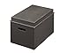 Rubbermaid Bento Storage Box with Flex Dividers, Lombard, Extra Large (1789282)