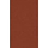 Book of Mormon of 1830by Joseph Smith