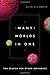 Many Worlds in One