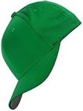 Produkt-Bild: Flexfit Cap, gr&uuml;n