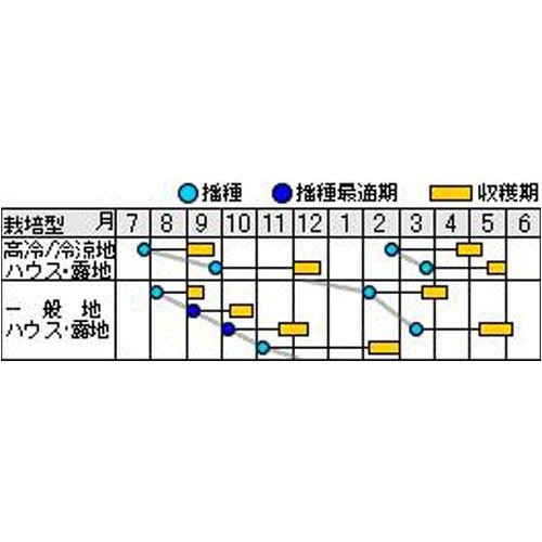 Cover image : エイトマン (ナント交配) 数量:1dl