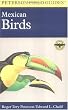 A Field Guide to Mexican Birds: Mexico, Guatemala, Belize, El Salvador (Peterson Field Guide)