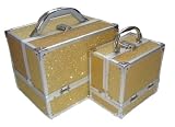 41lT%2Bozh9jL. SL160  Gold 2 Piece Beauty cosmetic vanity Case Box Nail Salon Reviews