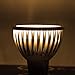 110V 4W E26/E27 LED Light Bulb - 3200K Warm White LED Spotlight - 50Watt Equivalent - 330 Lumen 45 Degree Beam Angle