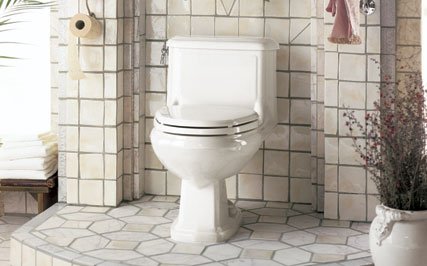 Buy American Standard Antiquity One-Piece Elongated Toilet – White