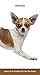 Chihuahuas 2016 Two-year Pocket Planner