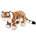Signature Tiger - T444