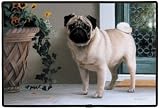 Pug on Porch Indoor Outdoor Doormat Rug Barrie Barnett