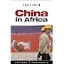 China in Africa: Partner, Competitor or Hegemon? (African Arguments)