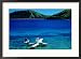 Seaplane in Water Between Yasawa and Sawa-I-Lau Islands, Fiji Framed Photographic Poster Print by Mark Daffey, 29x21