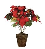National Tree Knp-17cgp Poinsetta 10 Head 17''(pack of 12)