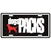 New  Labrador Retriever Dogs Packs  License Plate Dog