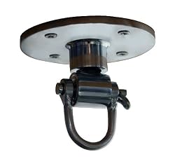 Everlast Professional Speedbag Swivel