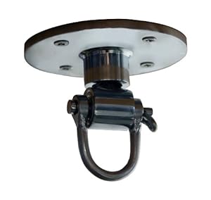 Everlast Professional Speedbag Swivel