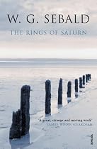 Rings of Saturn