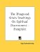 Book The Bhagavad Gita's Teachings On Spiritual Discernment - Pamphlet