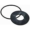 Febco 765 1 Inch Gasket