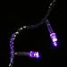 String Decoration Light for Christmas Party Wedding (Purple)