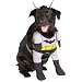 Batman - Batman Deluxe Dog Costume (Pet Costume)