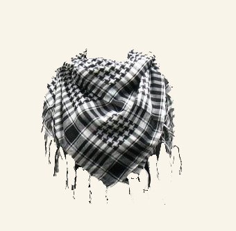 Trendy Black & White Houndstooth Scarve