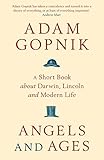 Angels and Ages : A short book about Darwin, Lincoln and modern life