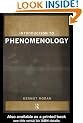 Introduction to Phenomenology