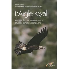 L'Aigle royal : Biologie, histoire et conservation, Situation dans le Massif central