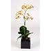 Artificial 17" Mini Phalaenopsis Orchid, Green