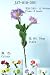 PU Flower Datura stramonium, tolguacha, Jimson weed moonflower