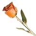 Long Stem Dipped 24k Gold Trim Orange Rose In Gold Gift Box