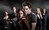 Twilight - 11 x 17 Movie Poster - Style C
