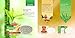 Almond Oil Bar Soap with Honey and Aloe Vera Extracts, ALL Natural - Each 2.65 Ounces - Pack of 6 (16 Ounces) - Vaadi Herbals