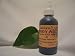 Health & Personal Care : 36 Ounces (Wholesale Lots Black Jagua Tattoo Gel *Ready to Use Like Henna (No Mixing Necessary)
