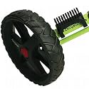 Proactive clicgear shoe brush