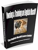 Owning and Training an English Mastiff [dog]