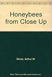 Honeybees from close up