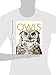 Amazing Animals: Owls