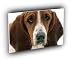 dog patient eyes basset hound A2 Large Canvas