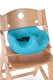 Keekaroo Infant Insert- Aqua