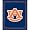 Auburn Tigers