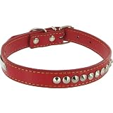 Buster Leather Studded Dog Collar by Kakadu Pet, Small, 1/2 x 15 1/2, Red
