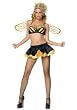 4PC Queen Bee Sexy Holiday Party Costume